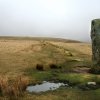 Dartmoor, Drizzlecomb